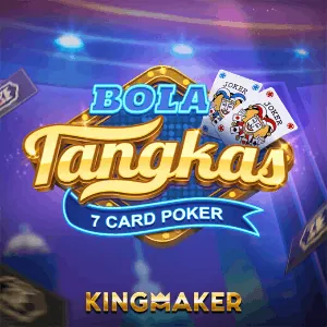Live Casino Provider